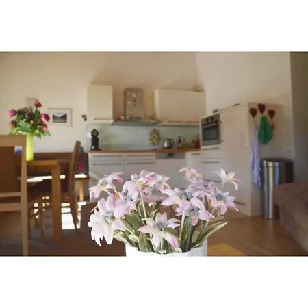 Haus Heijnen, Berggluck 아파트 *